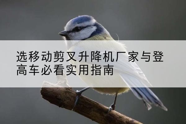 老城电动升降机厂家-选移动剪叉升降机厂家与登高车必看实用指南