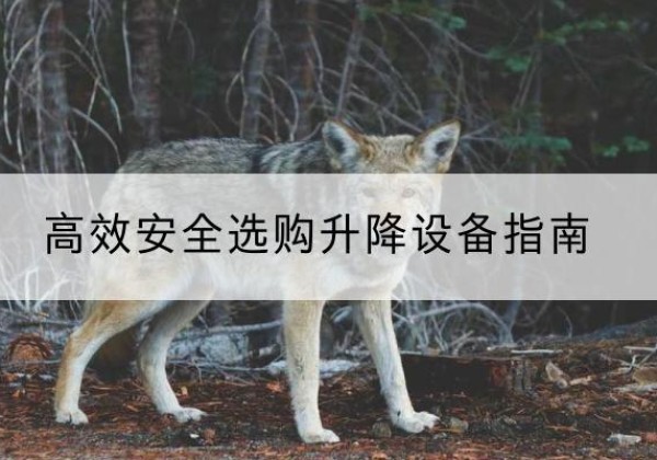 老城升降货梯厂家推荐-*安全选购升降设备指南